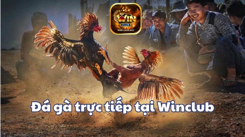 Tìm hiểu về khái niệm dagatructiep Winclub